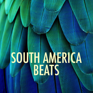 Listen to Bonita song with lyrics from Columbian Festival Group