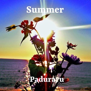Album Summer of 2025 (Beach Festival Aerobic Dance Floor Music for Workout Mix) from Paduraru