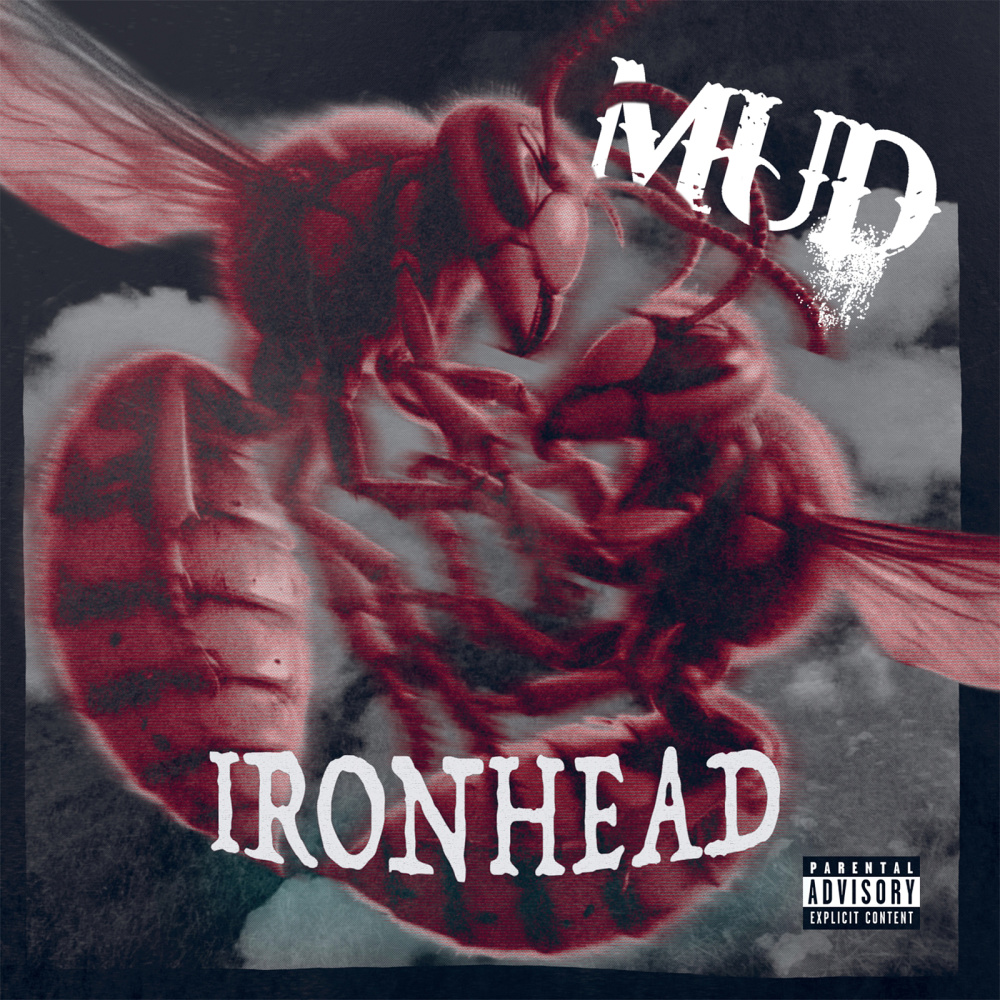 Turn up the Main Knob (Explicit)