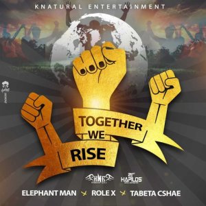 ดาวน์โหลดและฟังเพลง Together We Rise (Instrumental) พร้อมเนื้อเพลงจาก Elephant Man