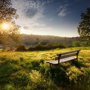 อัลบัม Music Through The Quiet Hours ศิลปิน Relaxation Dreams