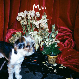 Album Beta from Model Man
