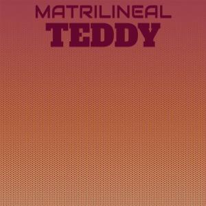 ดาวน์โหลดและฟังเพลง Insomnia Teddies พร้อมเนื้อเพลงจาก Fita Sithe