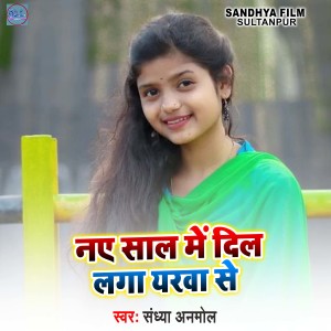 ดาวน์โหลดและฟังเพลง Nya Sal Me Dil Laga Yarwa Se พร้อมเนื้อเพลงจาก Sandhya Anmol