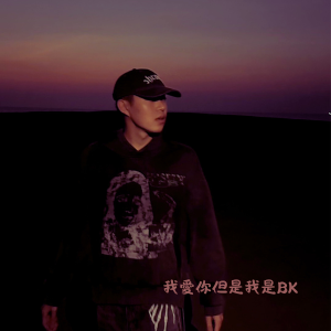 Listen to 我爱你但是我是BK song with lyrics from BK