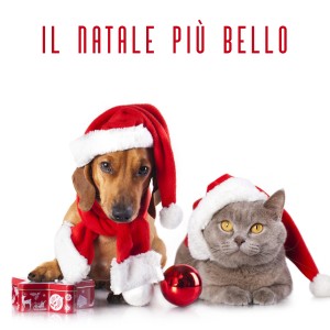 收听Peggy Lee的The Christmas Waltz歌词歌曲