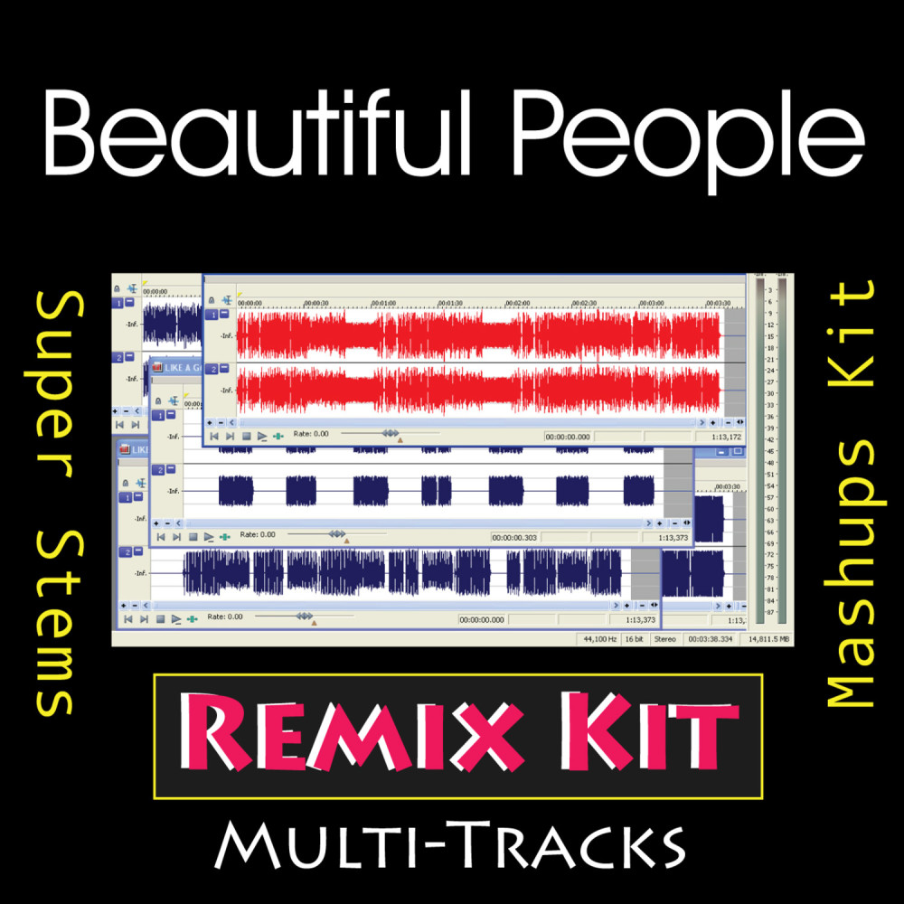 Beautiful People (128 BPM Bass Synths Only Tribute To Chris Brown feat Benny Benassi)