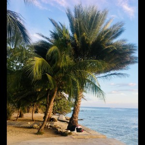 ดาวน์โหลดและฟังเพลง Every Step พร้อมเนื้อเพลงจาก Study Music & Sounds