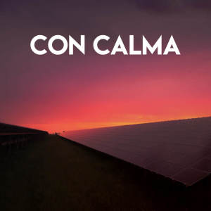 收聽Boricua Boys的Con Calma歌詞歌曲