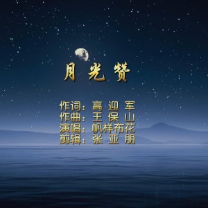 Listen to 月光赞 (伴奏) song with lyrics from 高迎军