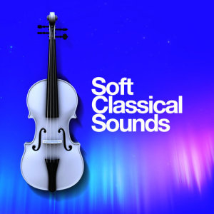 ดาวน์โหลดและฟังเพลง Piano Sonata No. 13 in B-Flat Major, K. 333: II. Andante Cantabile พร้อมเนื้อเพลงจาก Soft Background Music