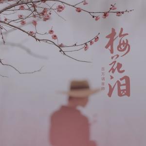 Album 梅花泪 from 百万调音师