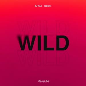 DJ TANI的專輯Wild
