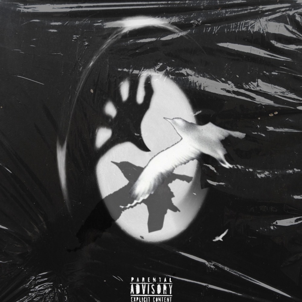 この両眼 (feat. Kidwing, Jilhooly & 22PEACE) (Explicit)