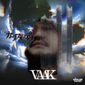 收听Vaak的NEW LIFE (Explicit)歌词歌曲