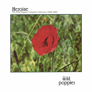 收聽The Wild Poppies的The Kiwi Song歌詞歌曲