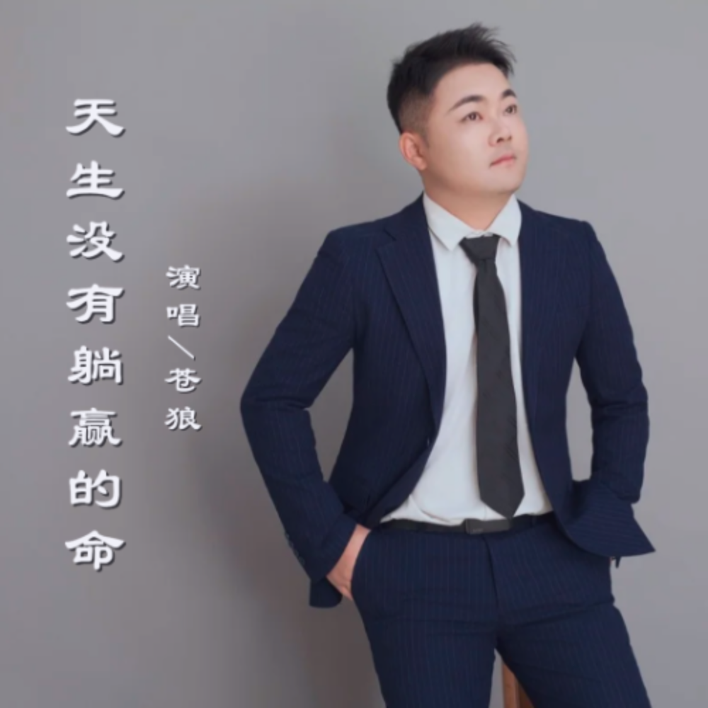 天生没有躺赢的命(DJ版) (伴奏)