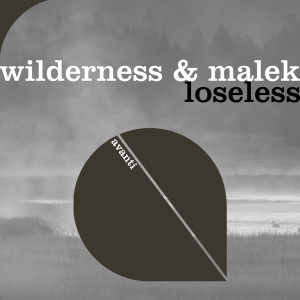 Listen to Loseless song with lyrics from Wilderness