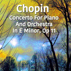 Listen to Concerto for Piano and Orchestra No. 1. in E minor, Op. 11: II song with lyrics from Joseph Alenin