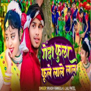 Album Genda Phula Phule lale La from Vikash Rangila