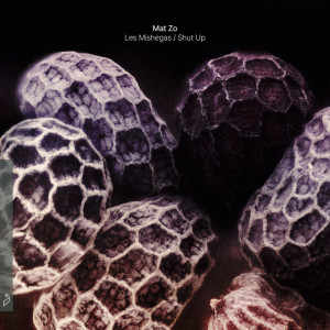 Mat Zo的专辑Les Mishegas / Shut Up