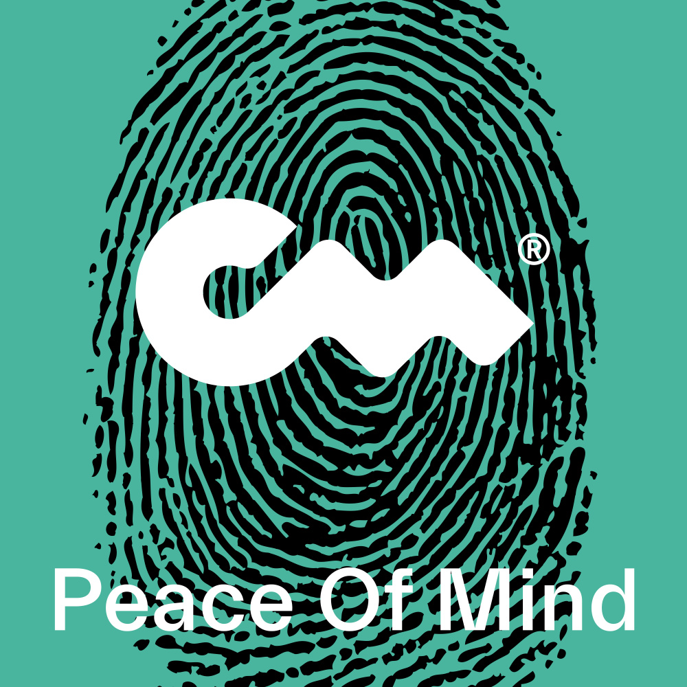 Peace of Mind (J Mike Remix)