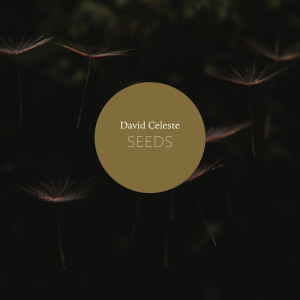 Album Seeds from David Celeste