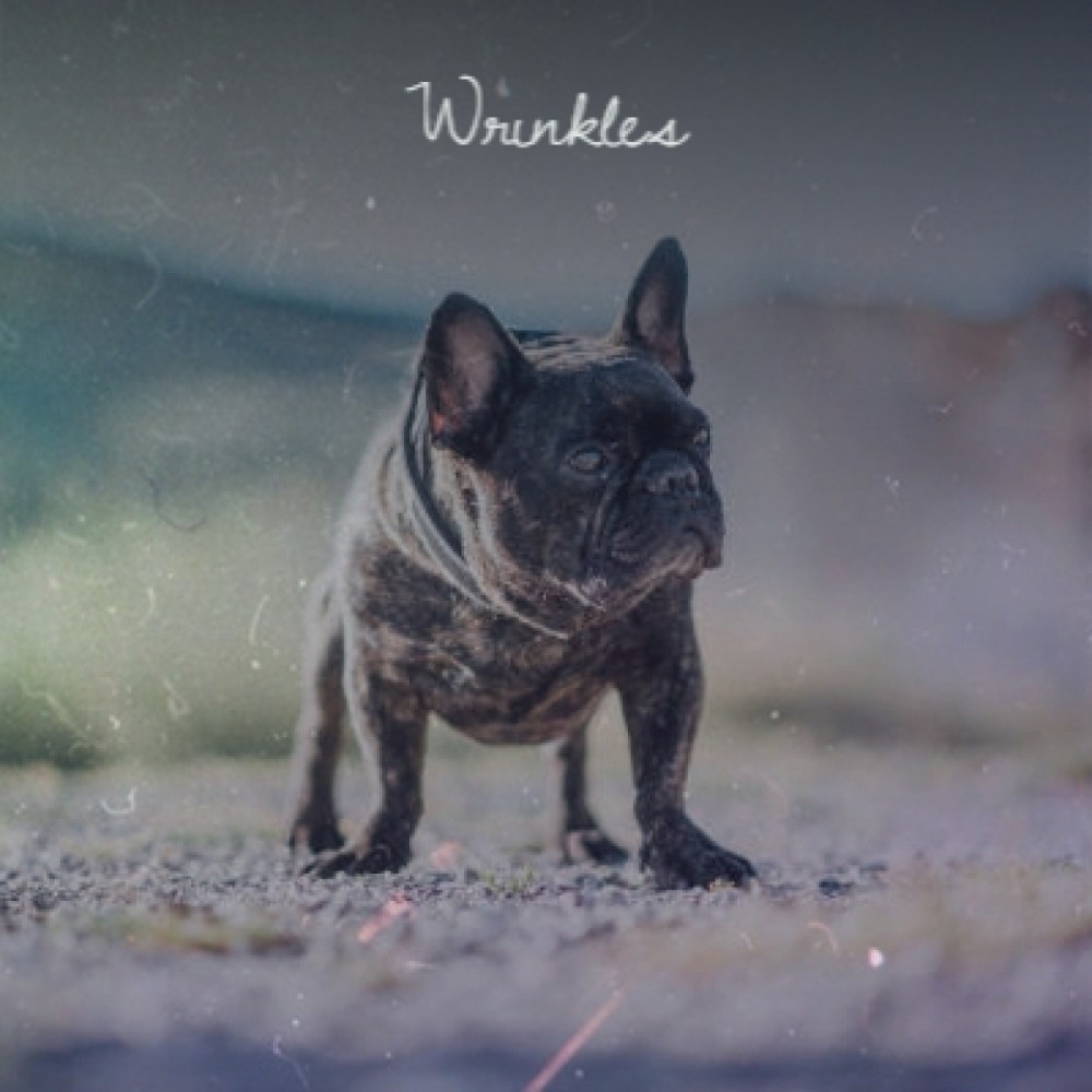 Wrinkles