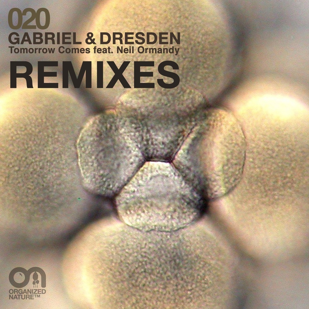 Tomorrow Comes (Moska Radio Edit)