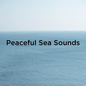 Listen to Calm Sea Sounds song with lyrics from Ocean Sounds