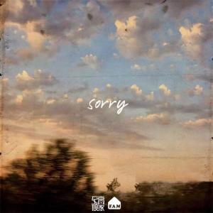 Dengarkan lagu Sorry nyanyian 鹿奇 dengan lirik