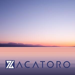 ZACATORO的專輯Wicked Game