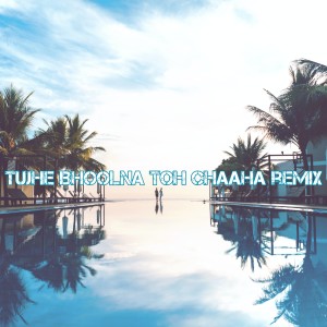 Album Tujhe Bhoolna Toh Chaaha Remix oleh Dj Viral Indonesia