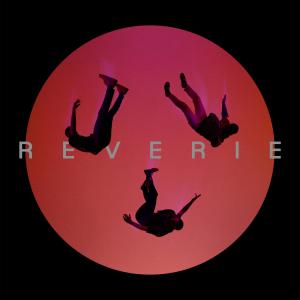 Album Reverie from Flawes
