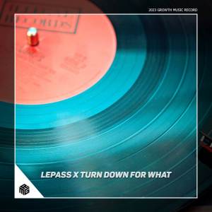 Album DJ LEPASS ARIF DU X TURN DOWN FOR WHAT oleh Yassdi