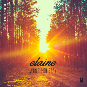 ดาวน์โหลดและฟังเพลง Won`t You Stay (Inst.) (Instrumental) พร้อมเนื้อเพลงจาก Elaine
