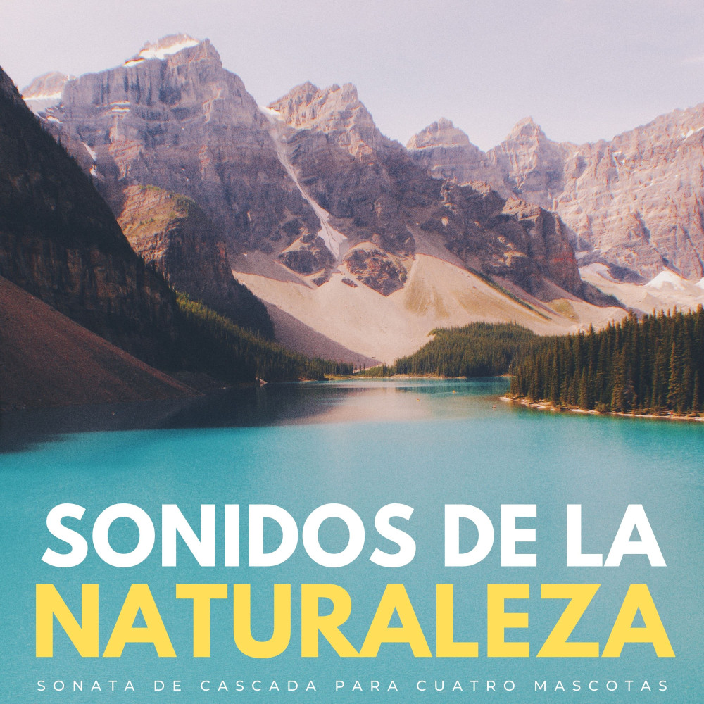 Relajantes Ondulaciones De Estanque