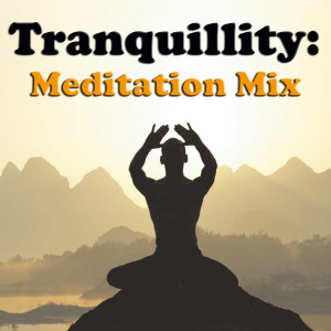 Tranquillity: Meditation Mix