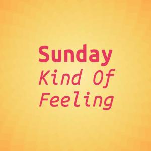 Listen to Sunday Kind Of Feeling song with lyrics from Tinging Mother's Circus