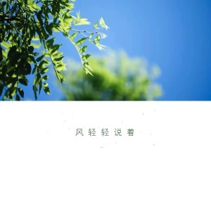 Album 夏天风 oleh 宸汐源