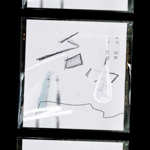 Album 名字「野生又野蛮的求知。」 from 笙寒