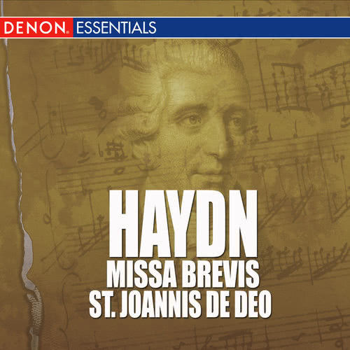 Missa In Tempore Belli No. 9 In C Major - Agnus Dei: Adagio, Allegro Con Spirito, Ruhig, Piu Presto