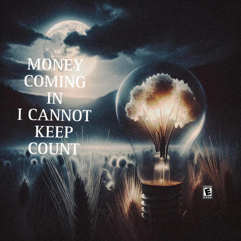Money Comin In I Cannot Keep Count (Explicit)