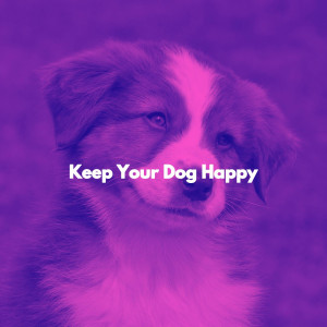 อัลบัม Keep Your Dog Happy ศิลปิน French Pastry Shop Music