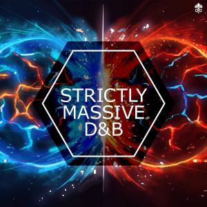 Various的专辑Strictly Massive D&B