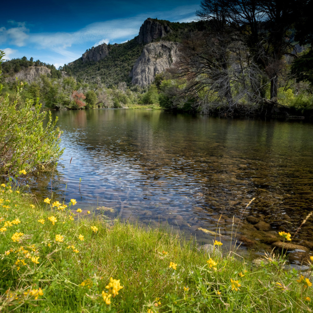 Water's Flowing Productive Rhythms