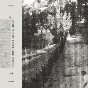 อัลบัม Some Nights I Feel Like Crying ศิลปิน Kid Froopy