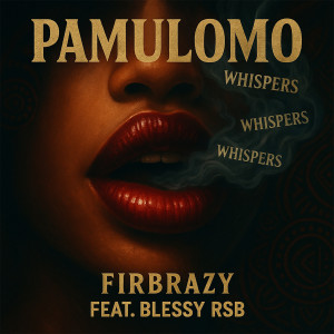 Firbrazy的專輯Pamulomo (Explicit)