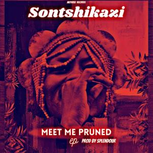 Listen to Better Days song with lyrics from Sontshikazi