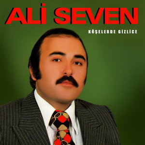 收聽Ali Seven的Kadehlerin Tadı Yok歌詞歌曲